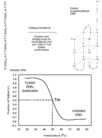 Biochemistry and Biophysics