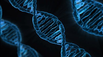 Strand of DNA