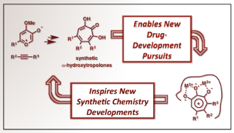 Synthetic Organic Chemistry and Medicinal Chemistry