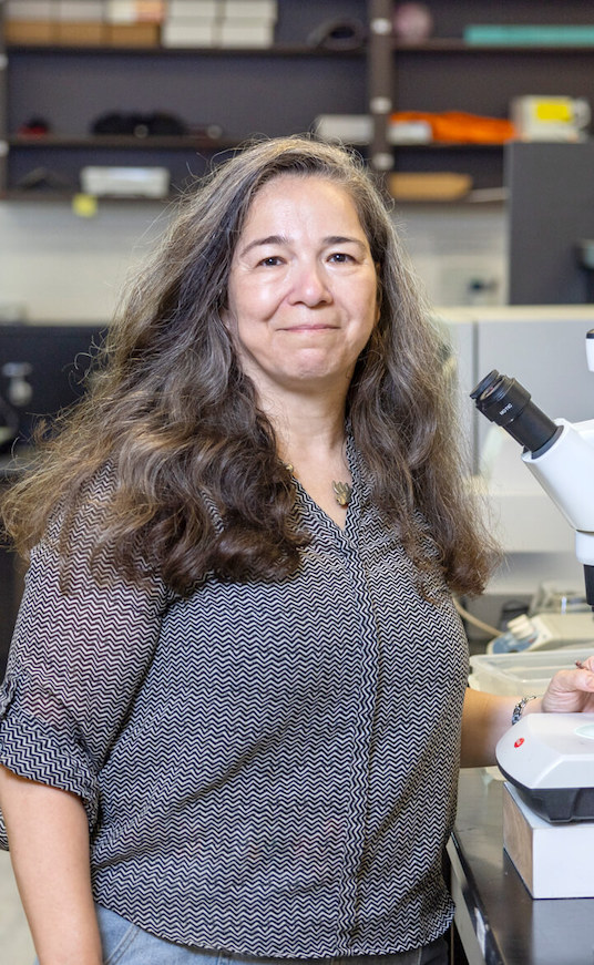 Mara Schvarzstein