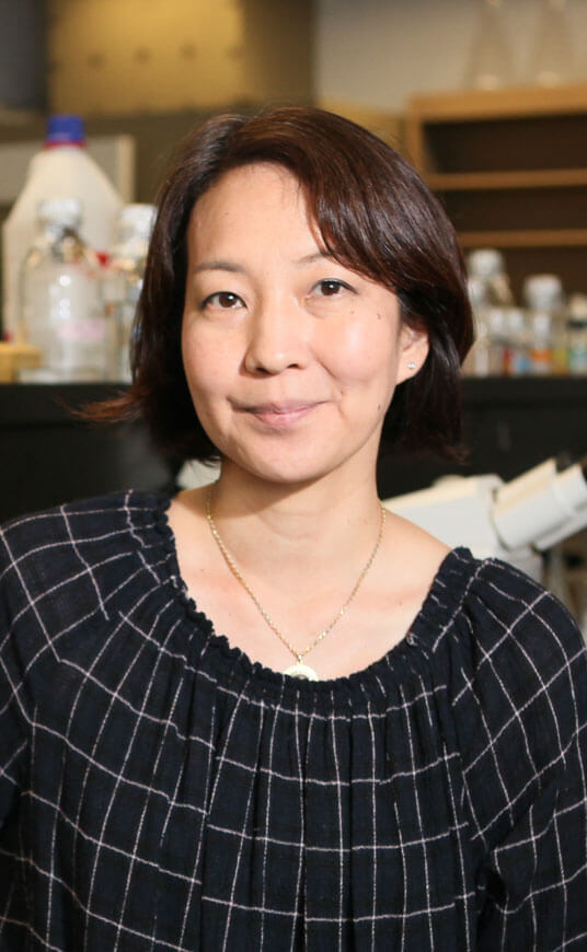 Amy E. Ikui