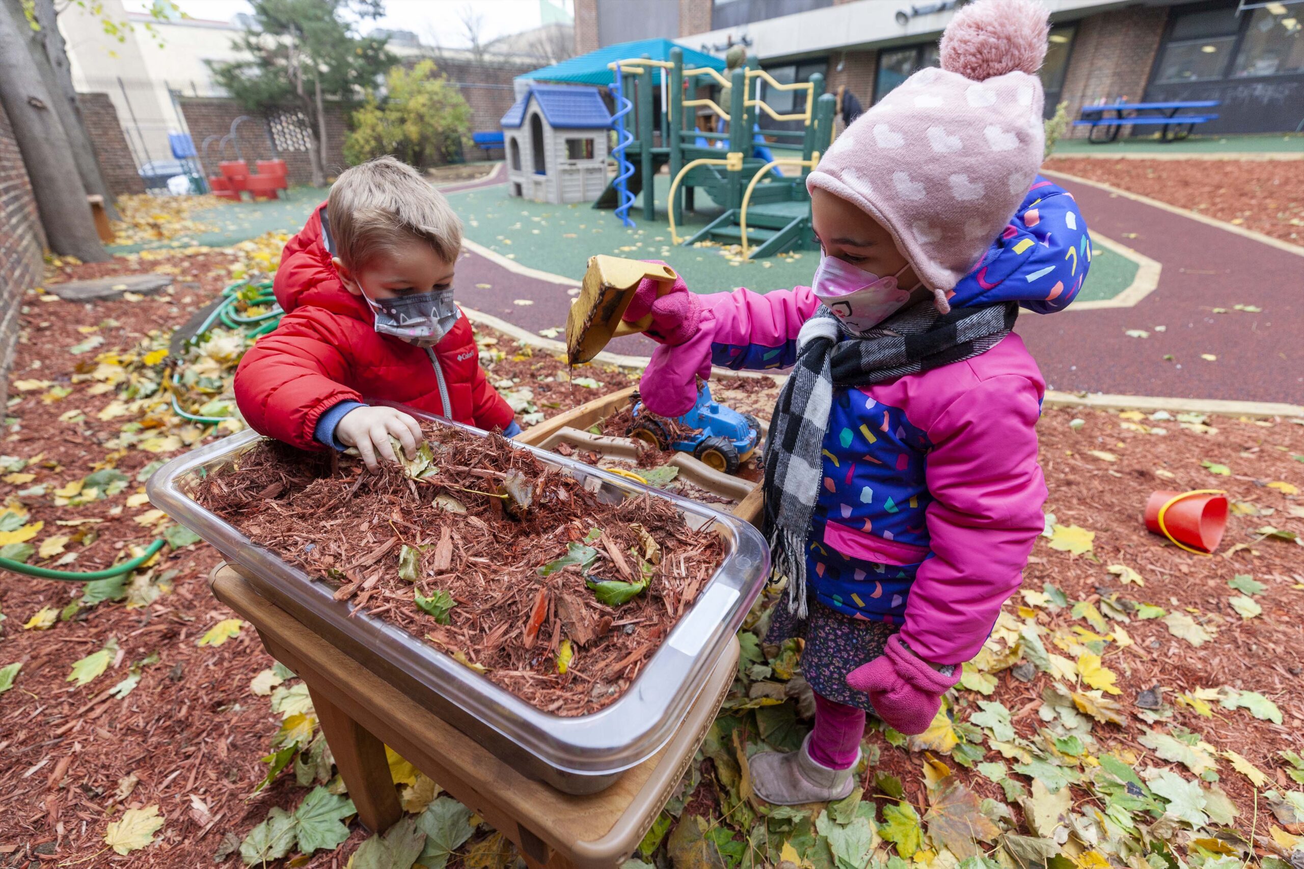 幼儿教育中欧体育（1-6）科学与环境教育硕士